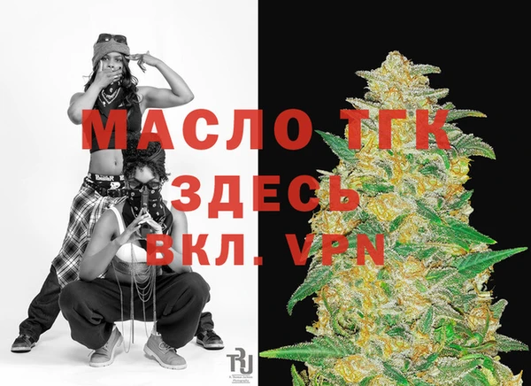 ECSTASY Богородицк