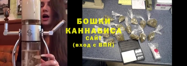 ECSTASY Богородицк