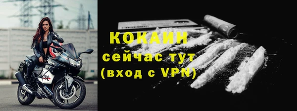 ECSTASY Богородицк