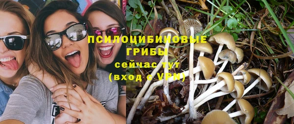 кокаин перу Богданович