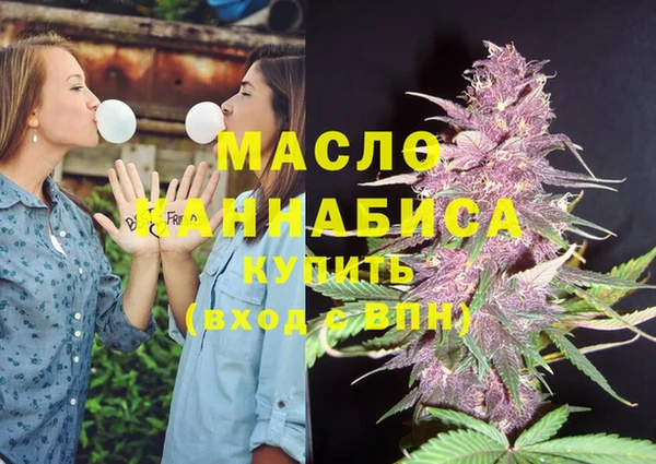 ECSTASY Богородицк