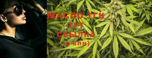 ECSTASY Богородицк