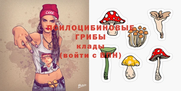 спайс Богородск