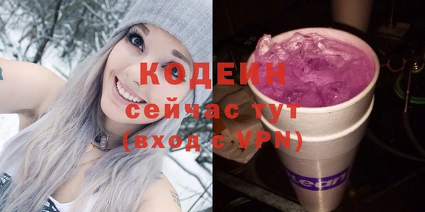 ECSTASY Богородицк