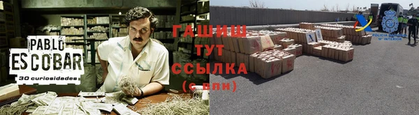 ECSTASY Богородицк