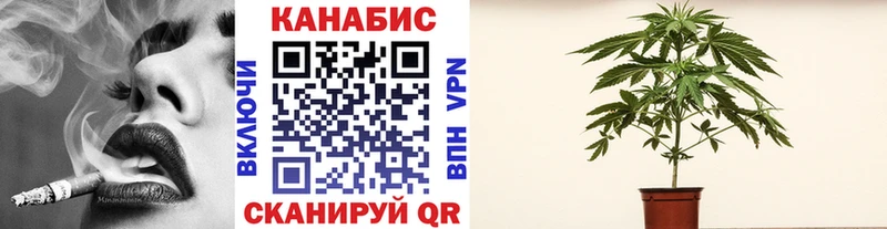 Шишки марихуана THC 21%  Донской 